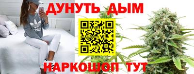 гашик Ипатово