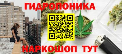гашик Ипатово