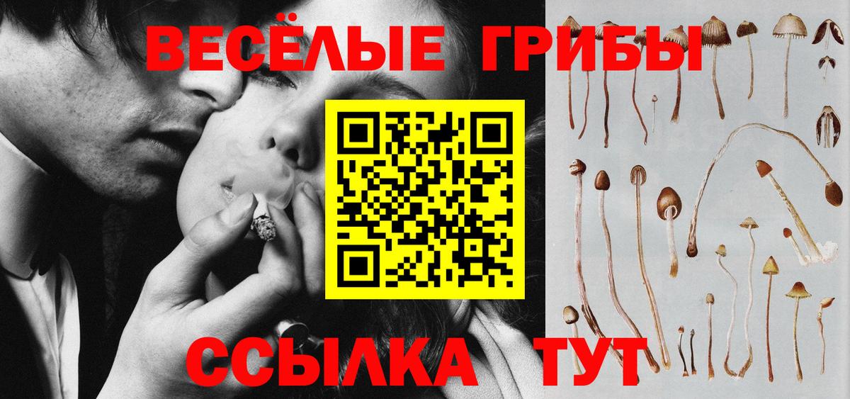 Кузнецк  Галлюциногенные грибы мухоморы  Вход с VPN  Псилоцибиновые грибы Magic Shrooms 