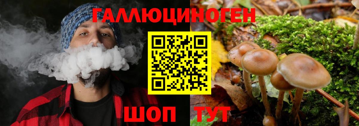 Псилоцибиновые грибы прущие грибы Кузнецк